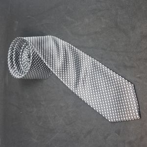 Structure silver and gray polyester tie